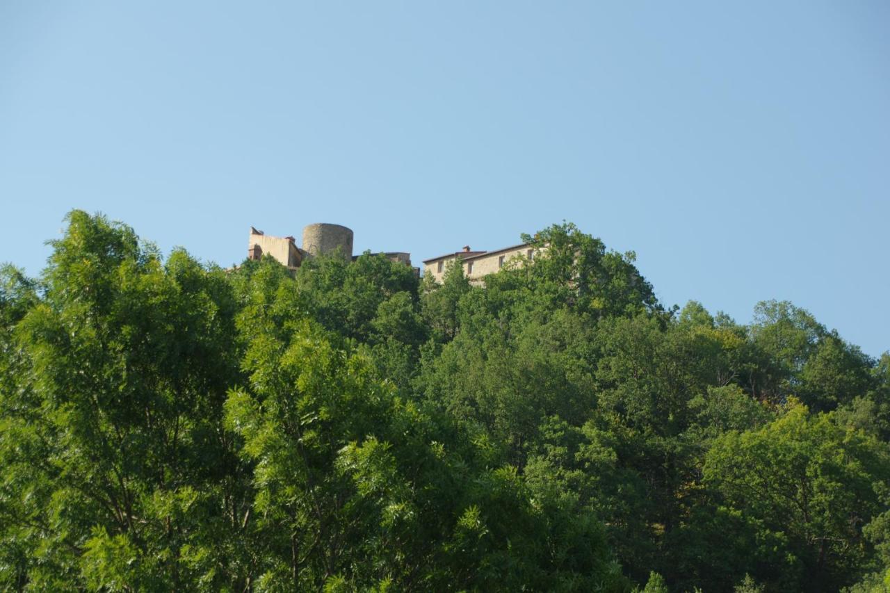 Tres Vents Del Roser - Grand Appartement Prats-de-Mollo-la-Preste Kültér fotó