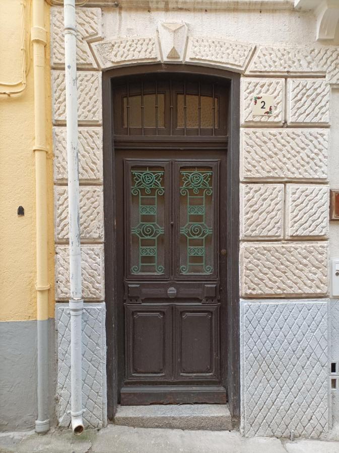 Tres Vents Del Roser - Grand Appartement Prats-de-Mollo-la-Preste Kültér fotó